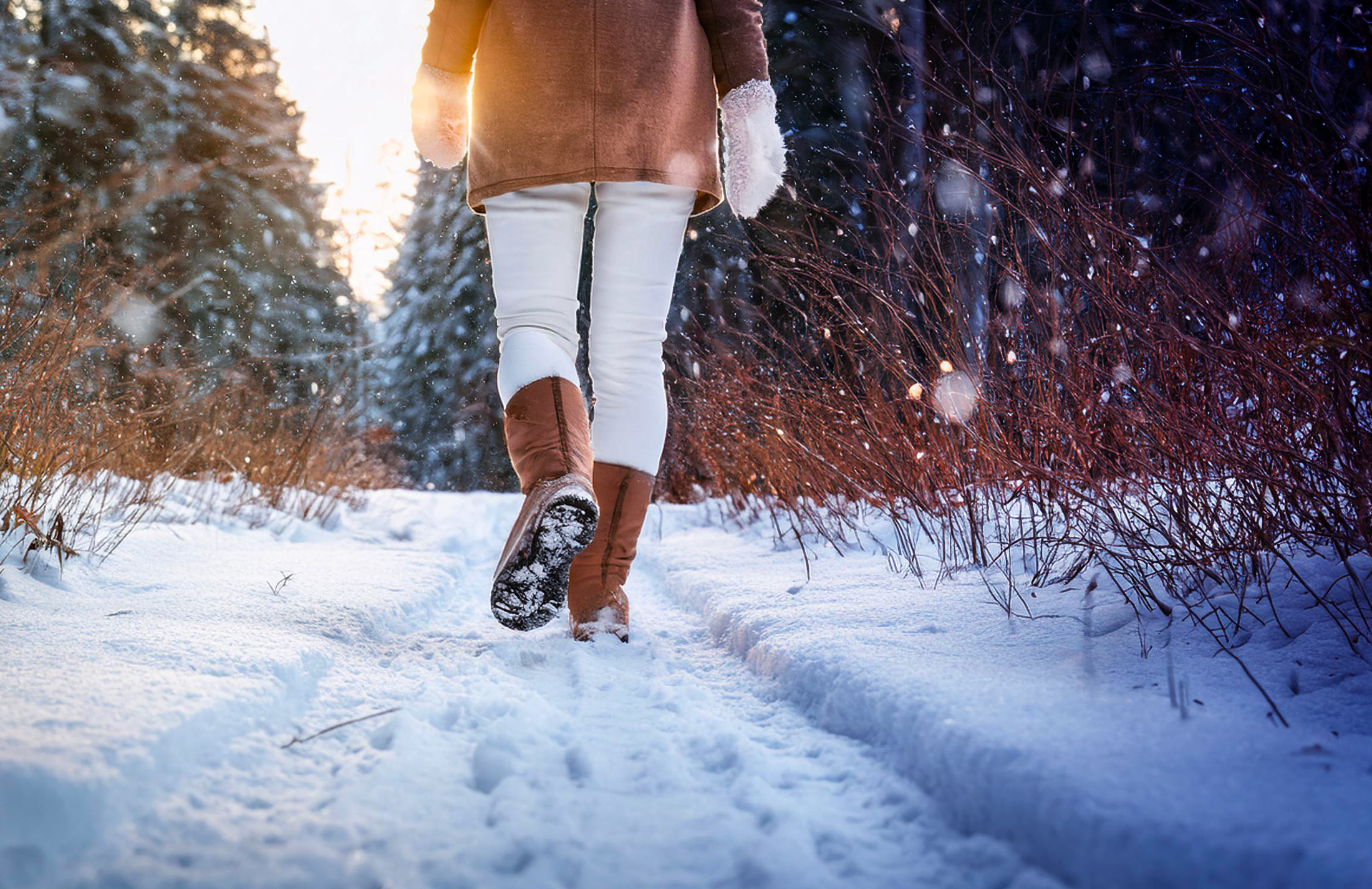 winter hike in the woods